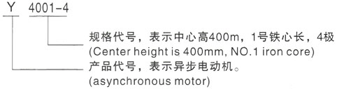 西安泰富西玛Y系列(H355-1000)高压YE2-160L-2三相异步电机型号说明