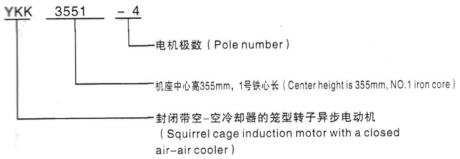 YKK系列(H355-1000)高压YE2-160L-2三相异步电机西安泰富西玛电机型号说明