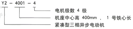 YR系列(H355-1000)高压YE2-160L-2三相异步电机西安西玛电机型号说明